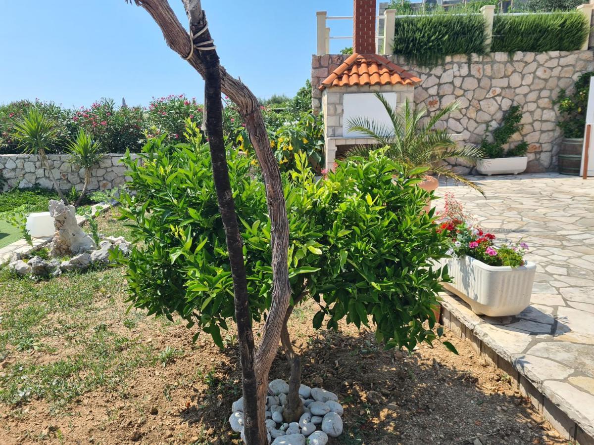 Villa Sea Oasis Ratac Slano Buitenkant foto